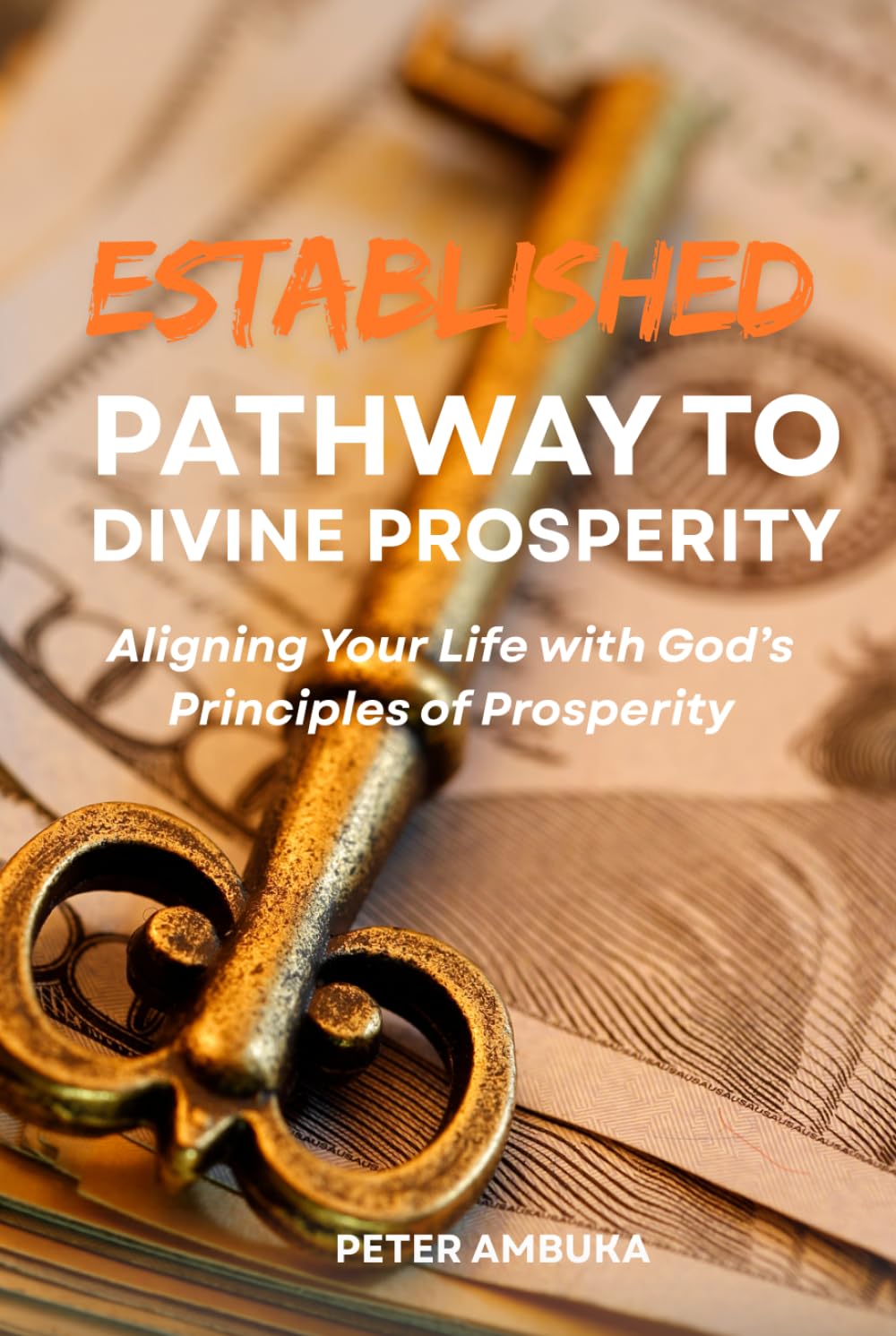 Established Pathway to Prosperity: Aligning Your Life with God’s Principles of Prosperity