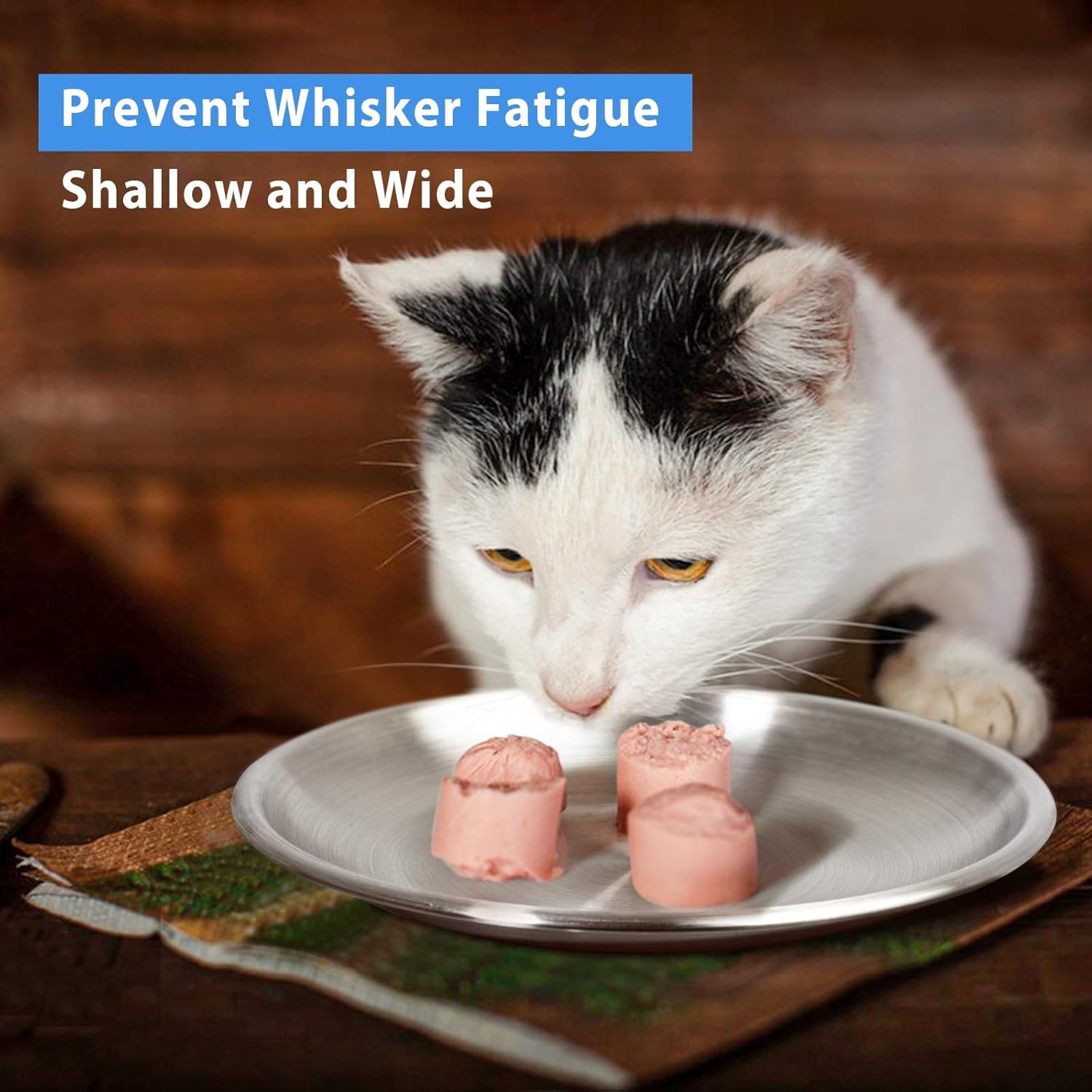 Stainless Steel Cat Dishes for Food and Water Bowls for Kittens and Baby Cats Small Pets Relief of Whisker Fatigue -2 Sets Shallow Style image 6 of 7 B0CR5QXCK8