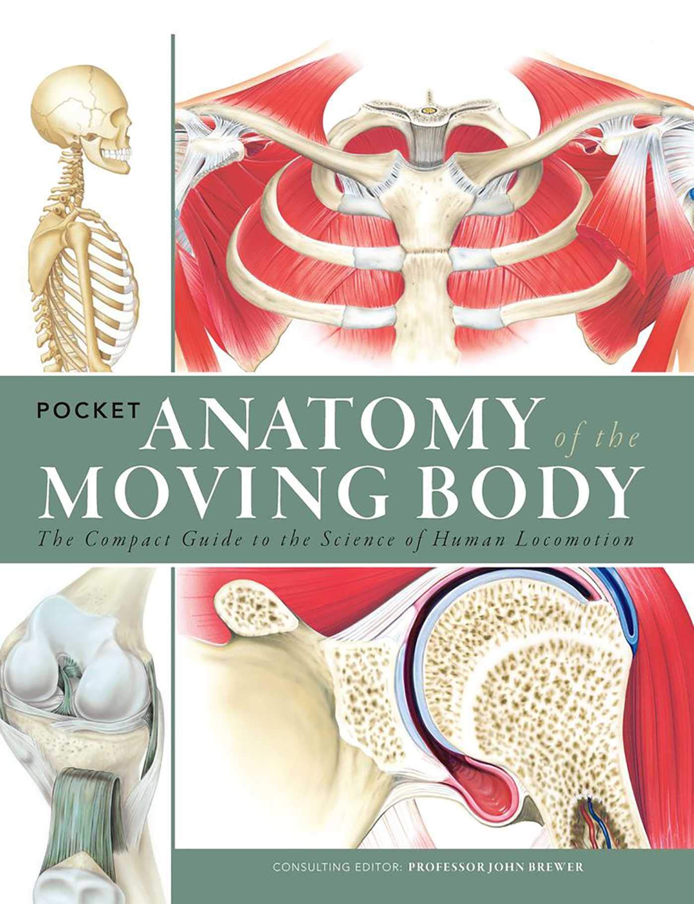 Pocket Anatomy of the Moving Body: The Compact Guide to the Science of ...