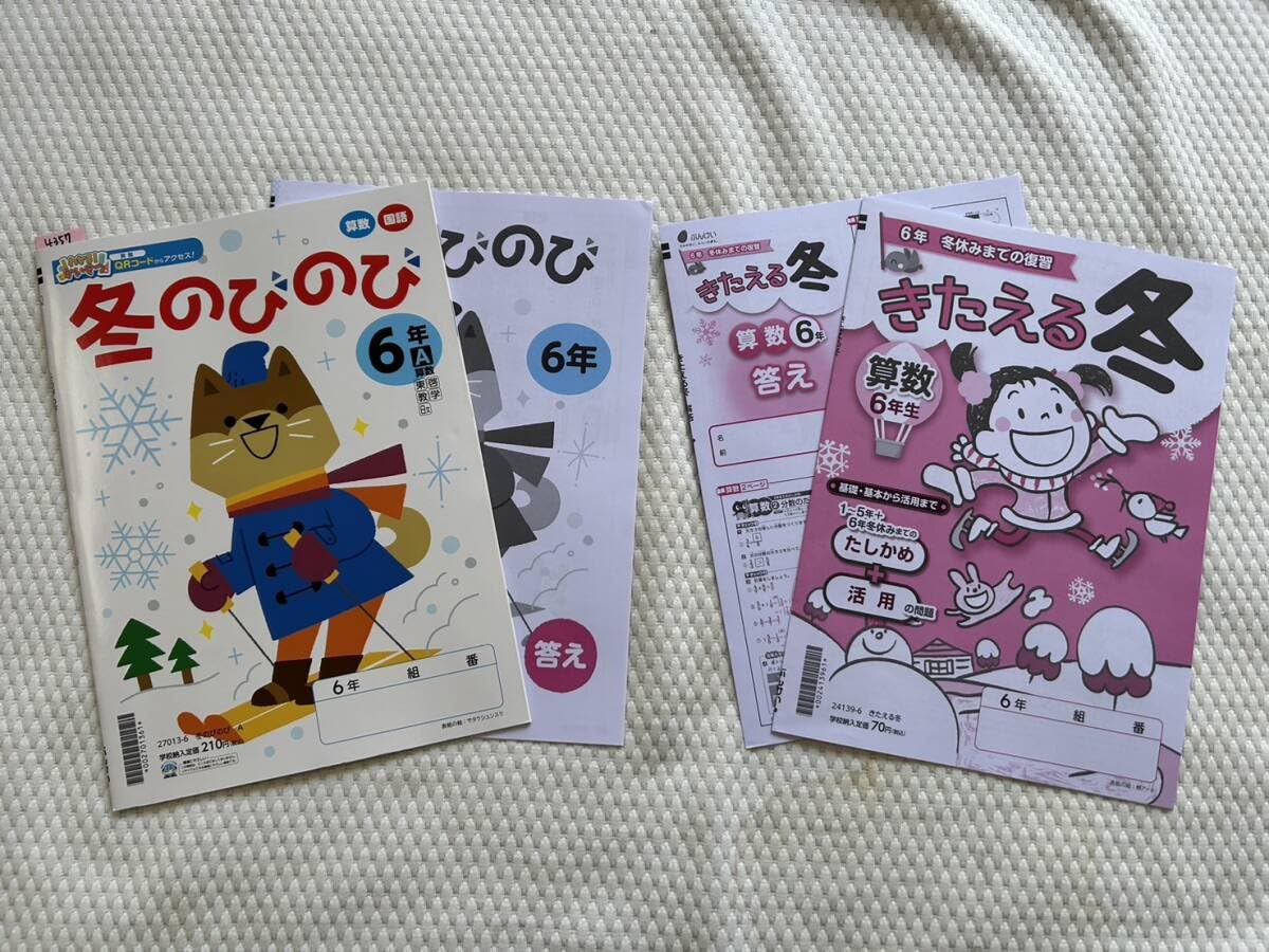 グノーブル 小4 グノラーニング/春/夏/冬 国語 通年セット 【計63回分