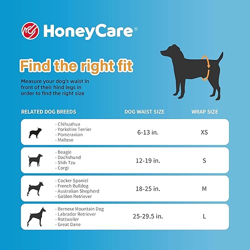 Miniatura 24 de HONEY CARE All-Absorb A26 - Envoltura para perro macho, 50 unidades, pequeña