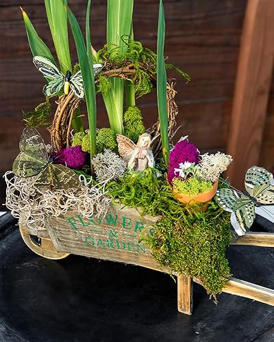 Miniatura 5 de Mezcla de musgos conservados de la marca SuperMoss 0