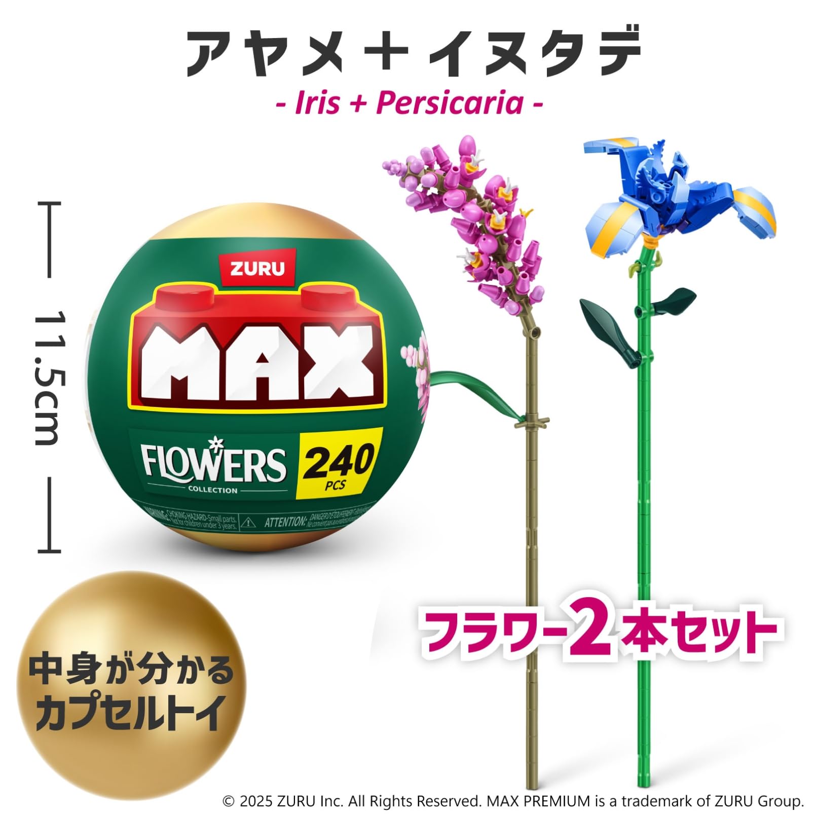 Amazon.co.jp: ZURU Max Premium Garden Long Flowers : Iris +