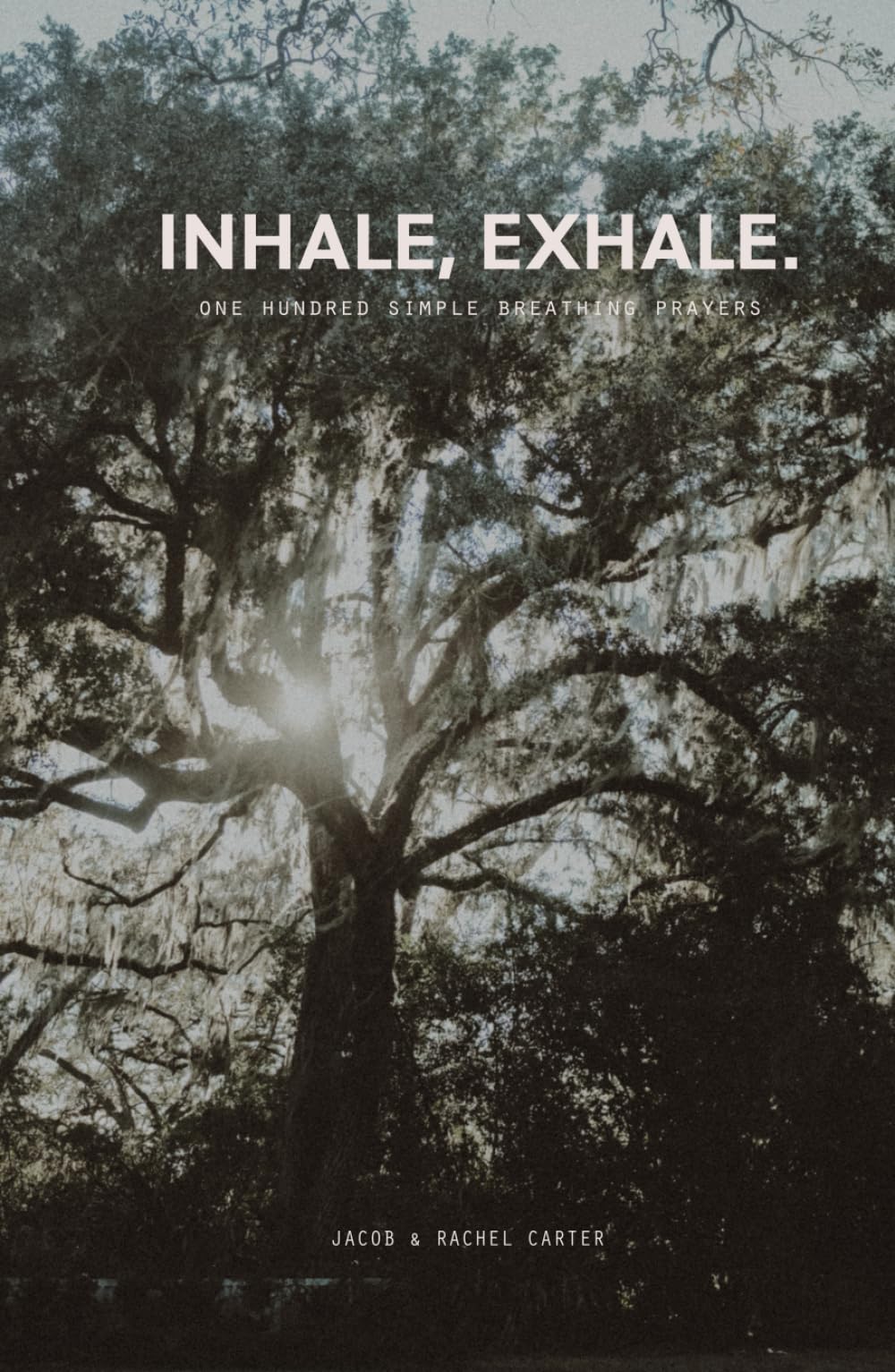 Inhale, Exhale: one hundred simple breathing prayers