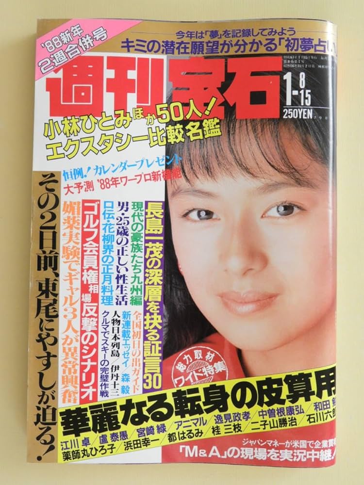 週刊誌 週刊プレイボーイ ☆1995年12/19号 No.51週刊誌/水着/グラビア