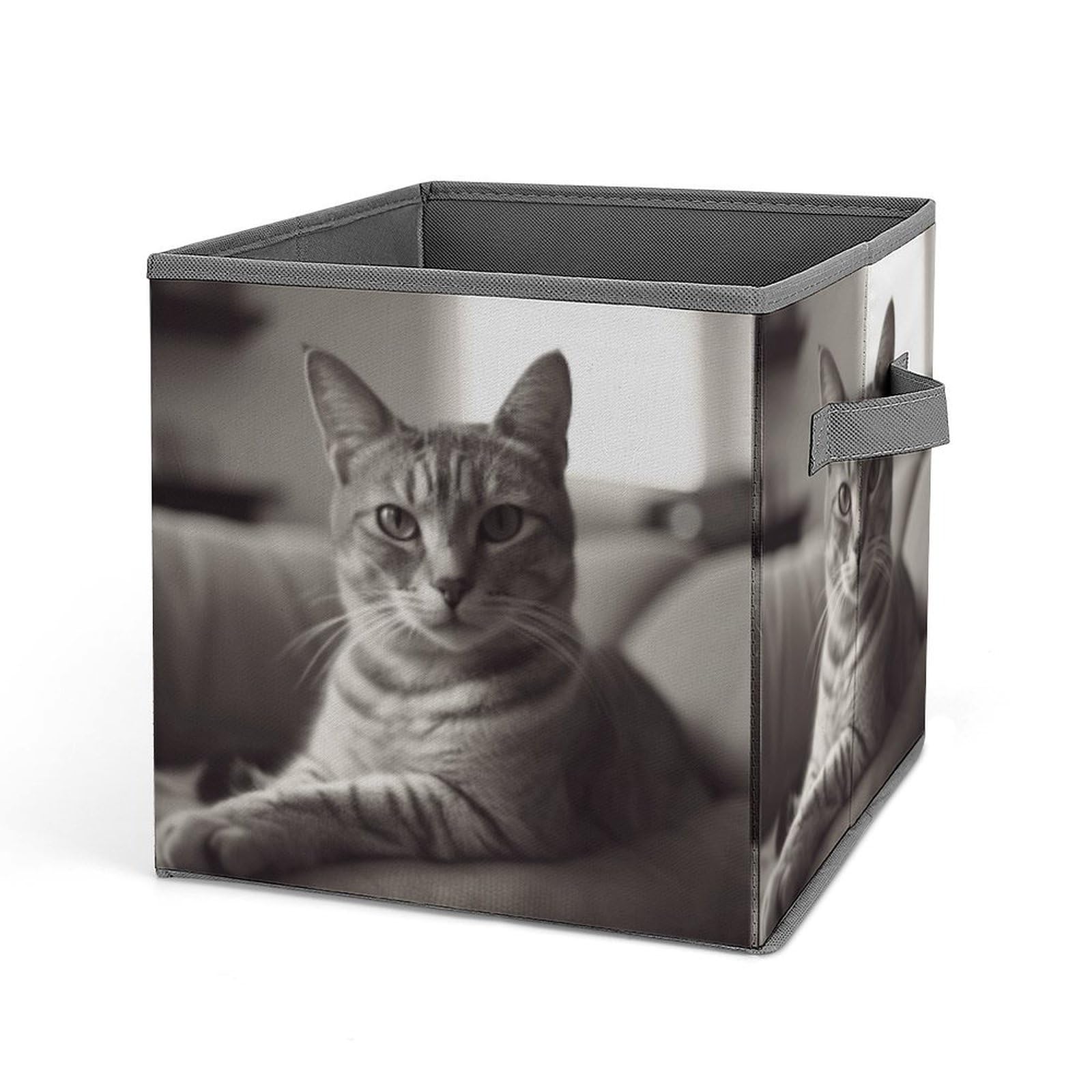 Boîte à jouets chat perché sur le canapé panier pour organiser le salon et la chambre