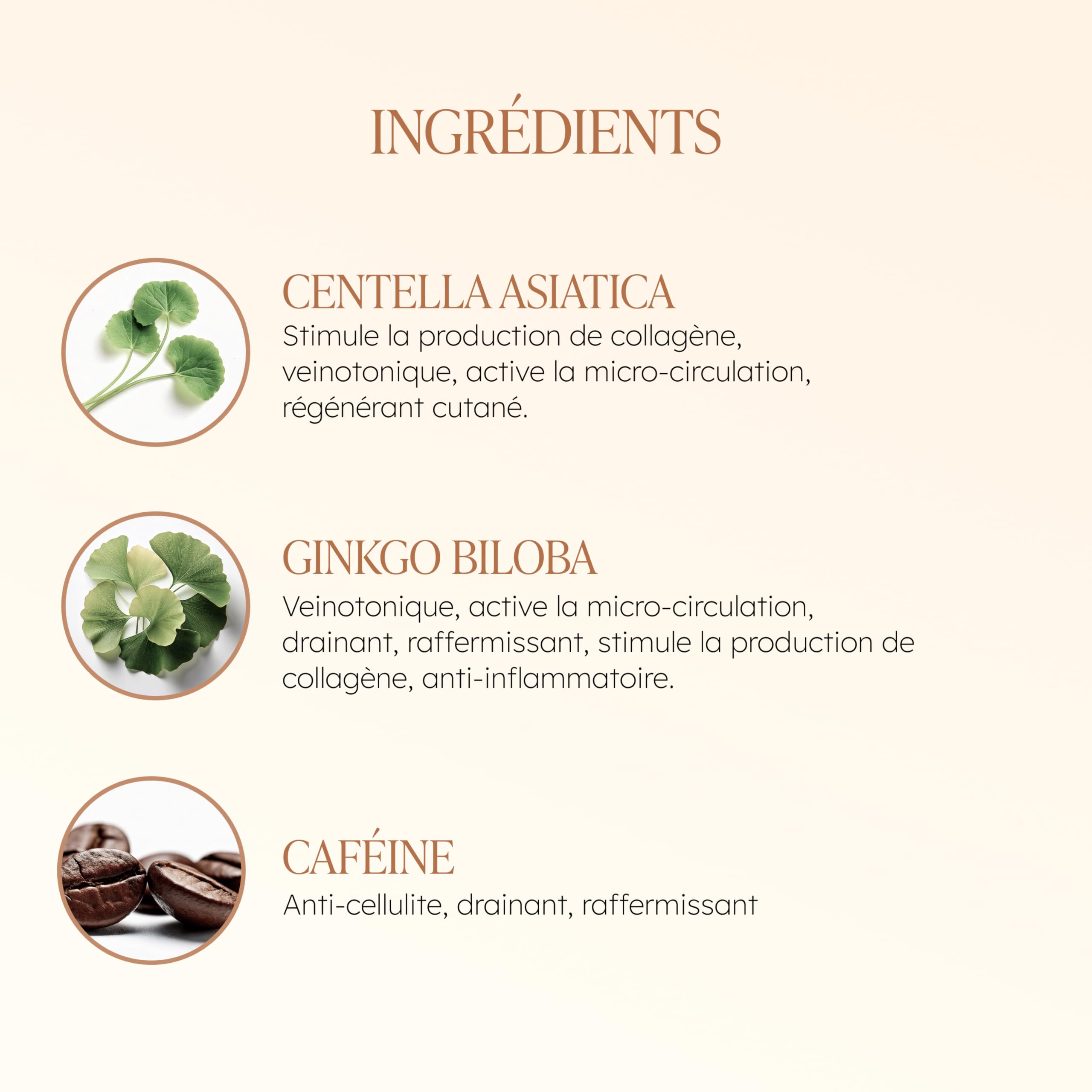 TAAJ | Huile Minceur Ayurvédique - ABHYANGA | Huile Anticellulite Raffermissante & Drainante | Raffermi & Lisse la peau | Réduit l’aspect de la Cellulite | Nourrit en profondeur | Vegan | 100 ml