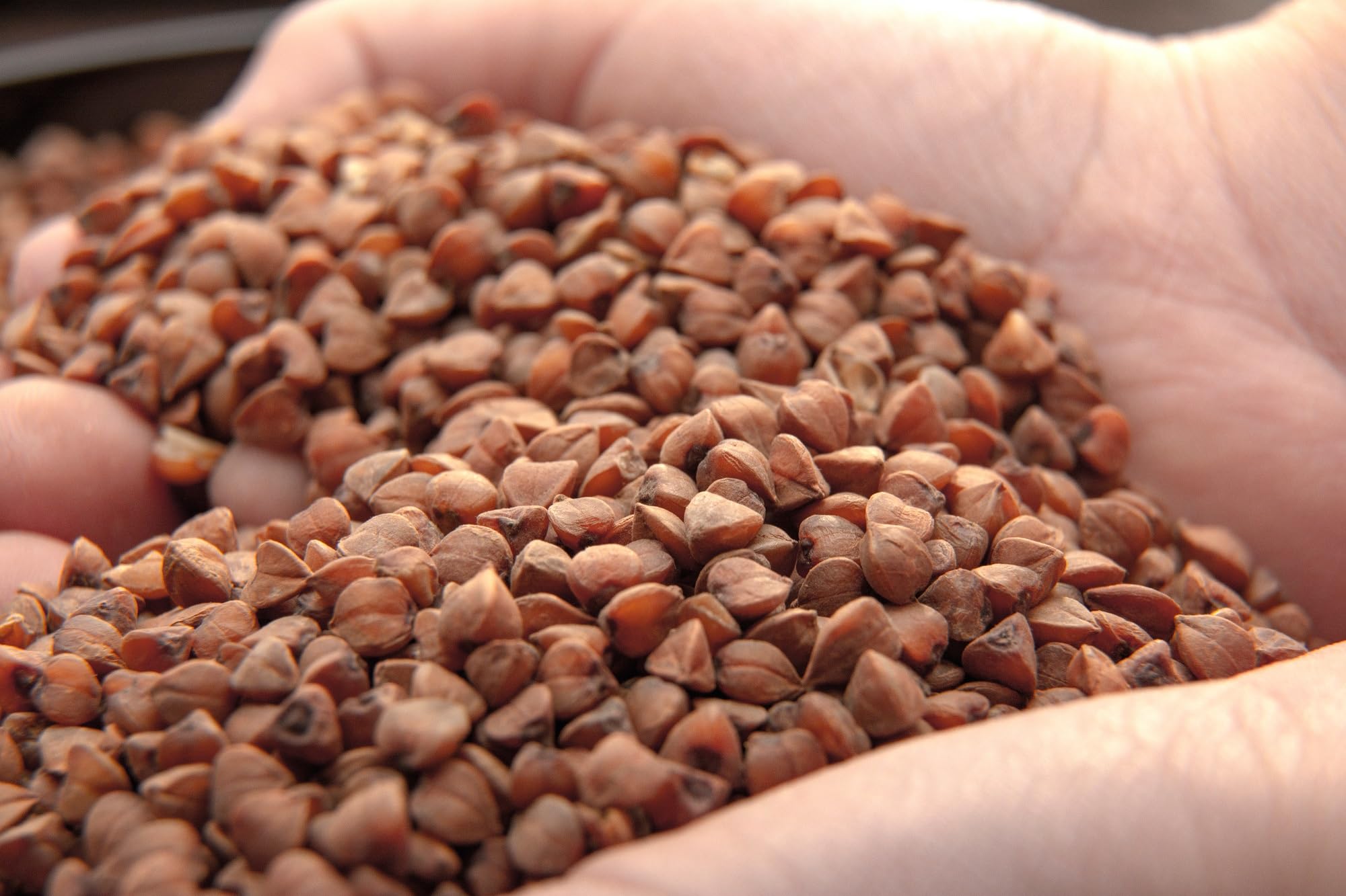 Mynatura Bio Buchweizenflocken I Buchweizen I Müslibowl I Weizenflocken I Getreideflocken I Getreide I Vegan I Im Beutel (2x 3kg)