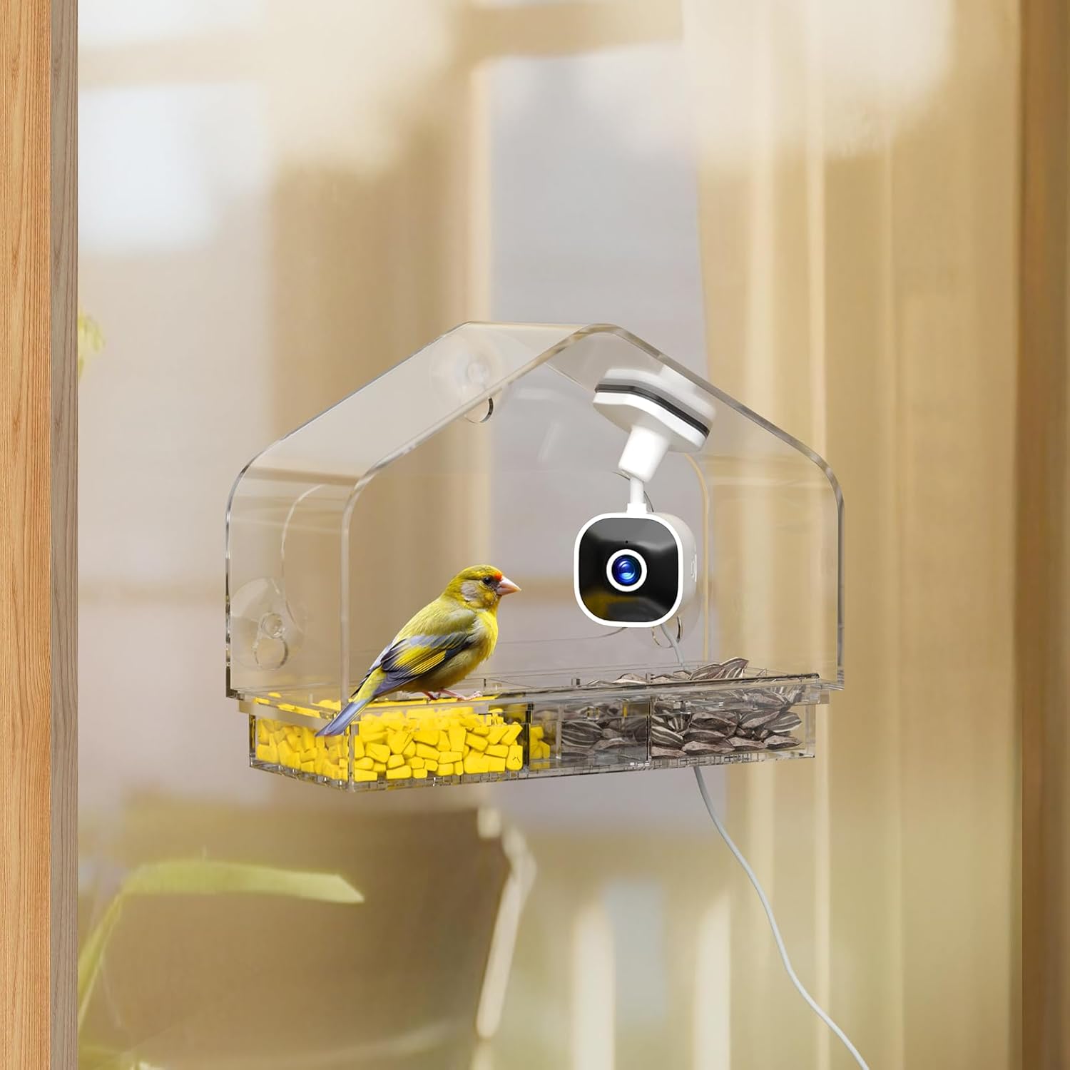 Smart Window Bird Feeder Camera with AI, Modern Design for Panoramic Views, 2K HD Live Feed, USB Powered & Secure Suction Mount - The Ultimate Tech Gift (Clear)