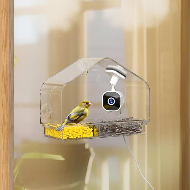 Smart Window Bird Feeder Camera
