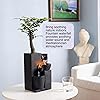 Product Photo 4