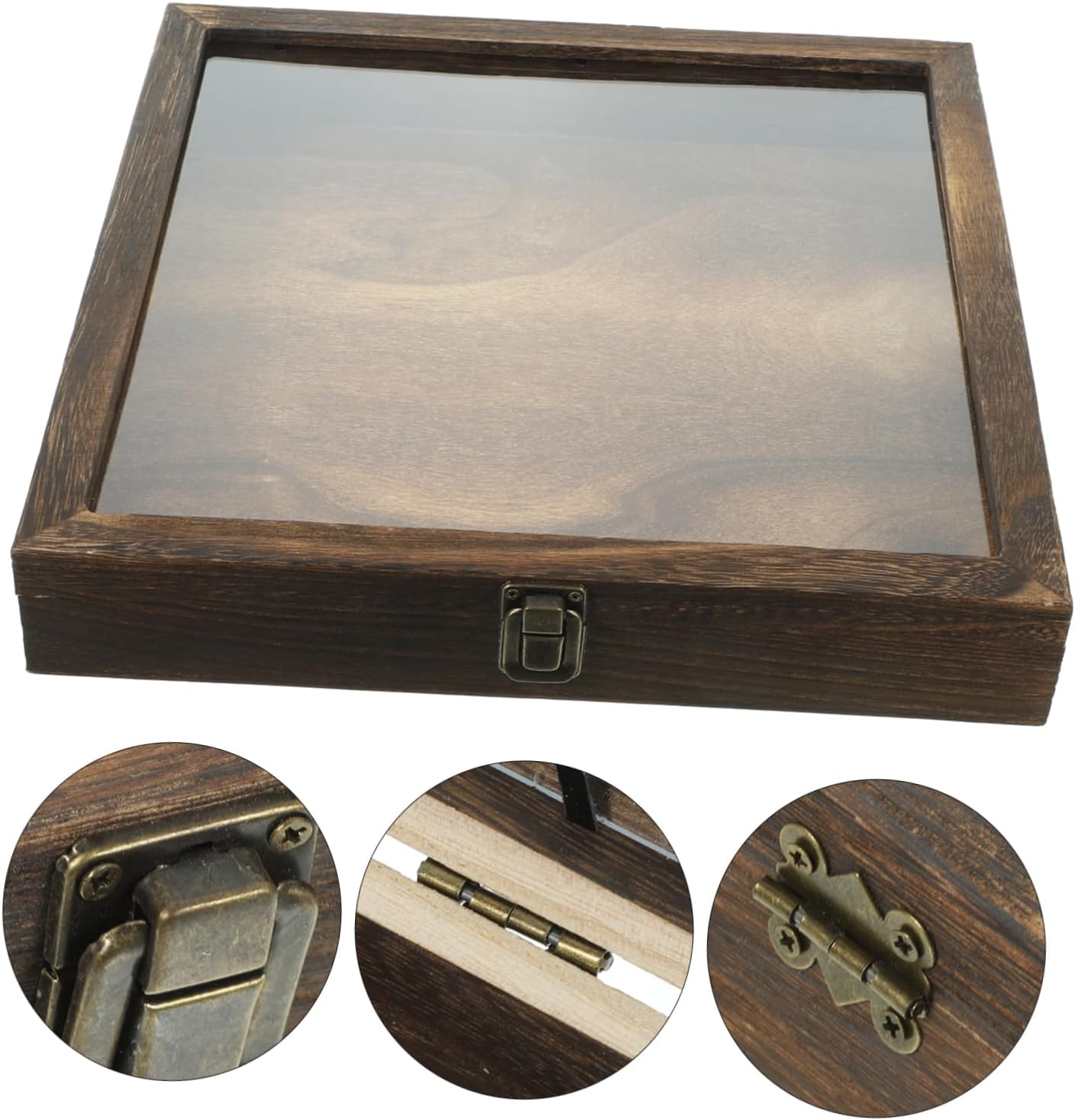 Butterflies Specimen Display Case Wooden Display Box Multi-Functional Storage for Jewelry Coins Style