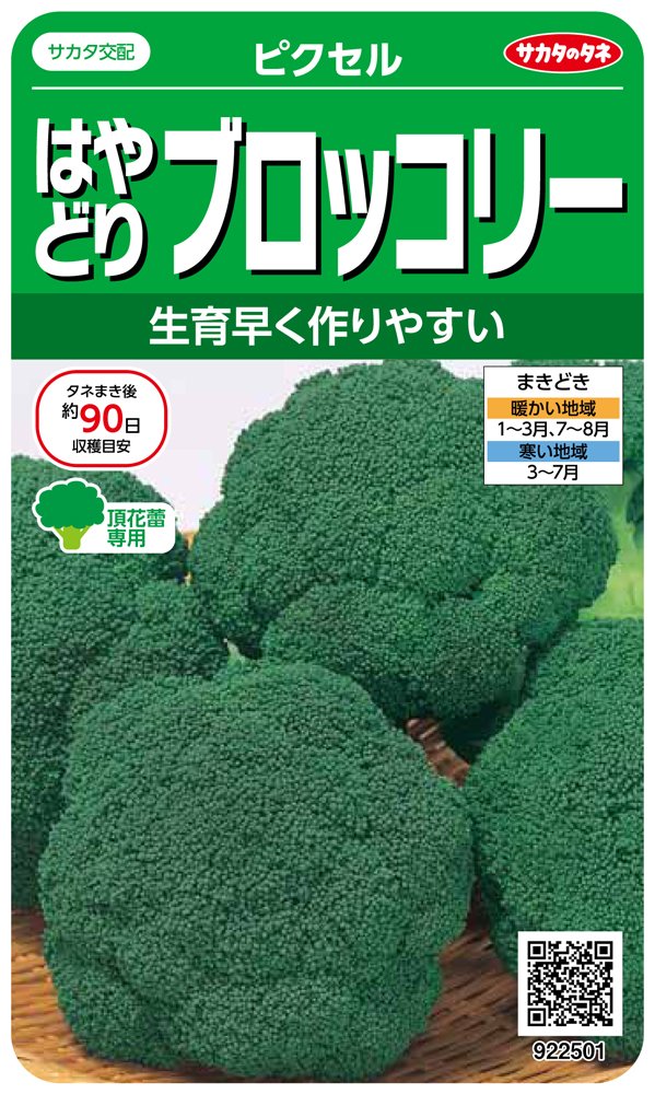 サカタのタネ 実咲野菜2501 はやどりブロッコリー ピクセル 00922501