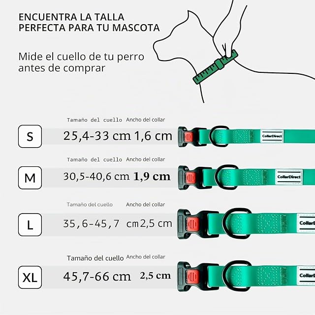 Foto 5 de 6 de CollarDirect Collar Perro Ajustable Impermeable con Hebilla Fácil de Abrochar