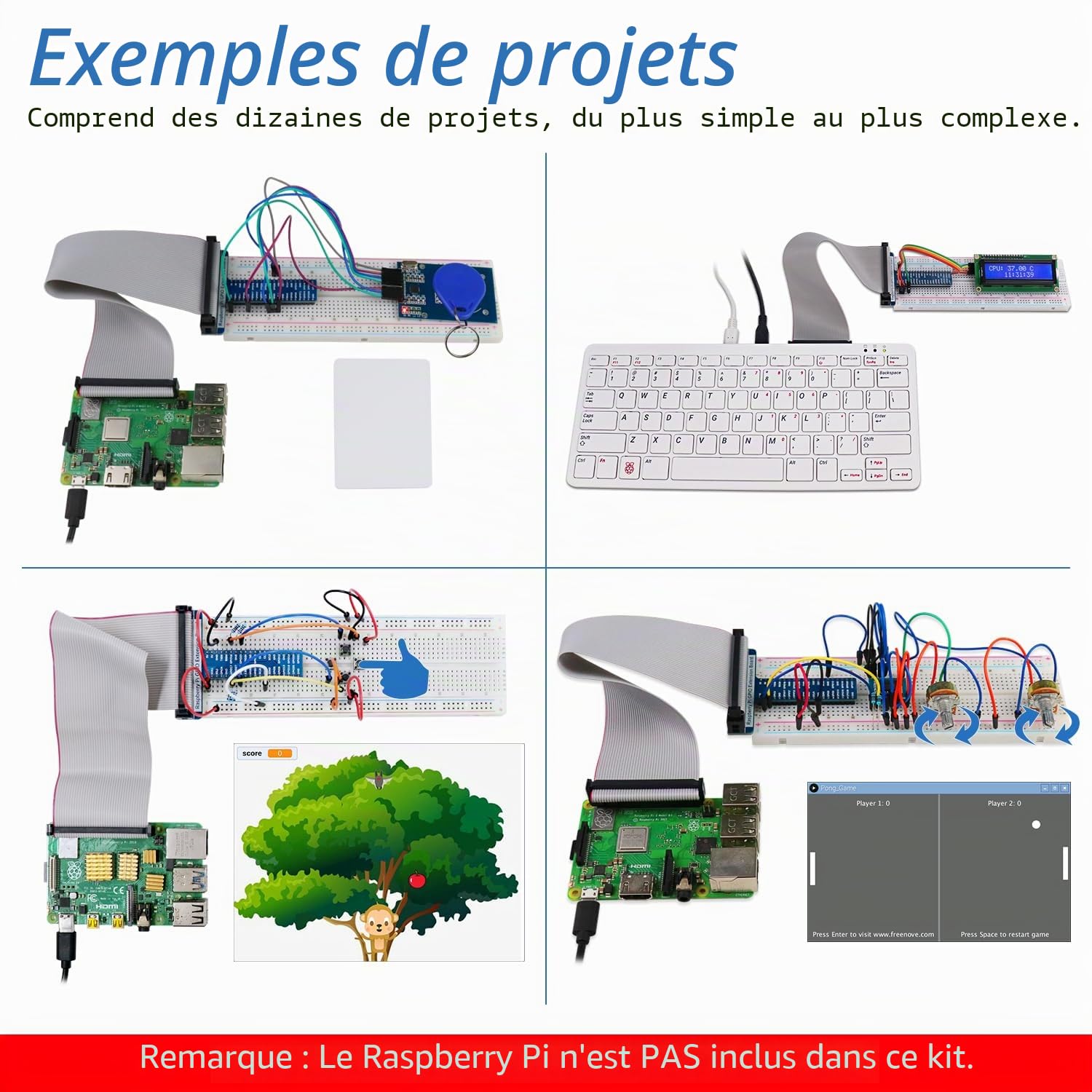 Freenove RFID Starter Kit for Raspberry Pi 5 4 B 3 B+ 400 Zero 2 W, 927-Page Detailed Tutorial, Python C Java Scratch Processing Code, 204 Items, 122 Projects (Raspberry Pi Not Included)