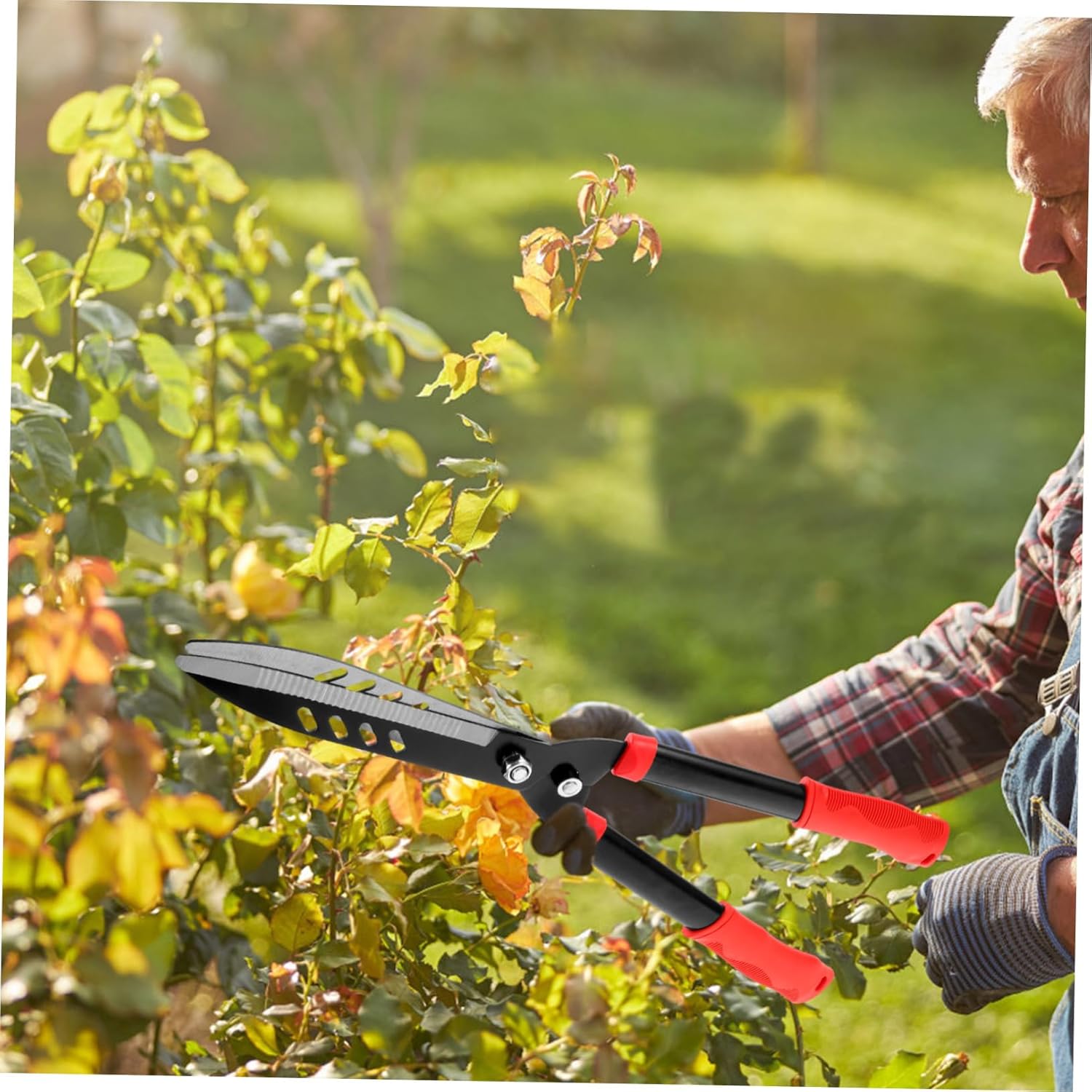 BESTonZON Garden Pruner Shears for Hedge Trimming 8-Inch Bypass Gardening Tools Ergonomic Handle for Shaping Hedges and Lawn Care