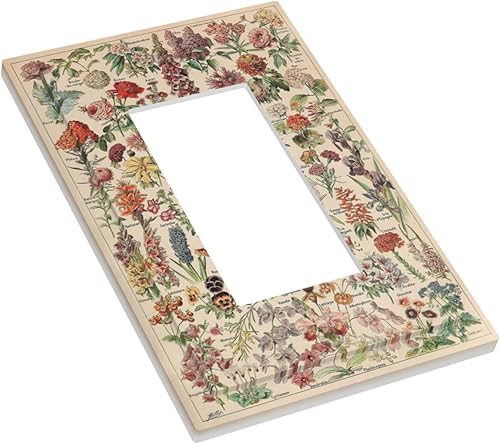 Vista 935 de Cubiertas decorativas de salida de estrella de mar playera, tablero de madera azul de concha de mar de 1 banda, decoración individual GFCI, placa