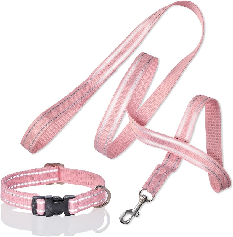 Coleira Ajustável Refletiva para Cães Pet Passion Max Rosa XX-Grande com Guia