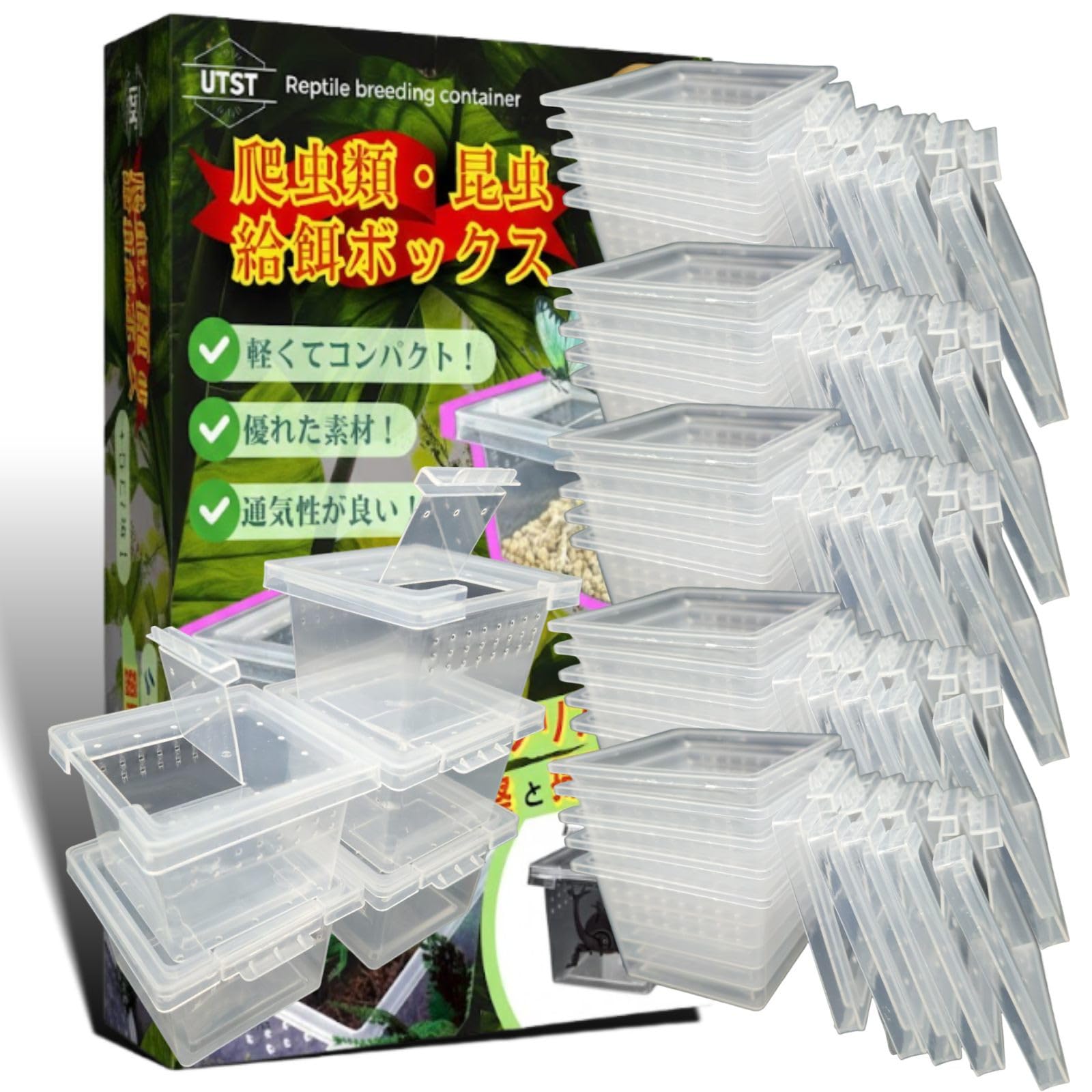 Amazon | UTST 昆虫飼育ケース 小型 コンテナ ボックス 空気穴付き