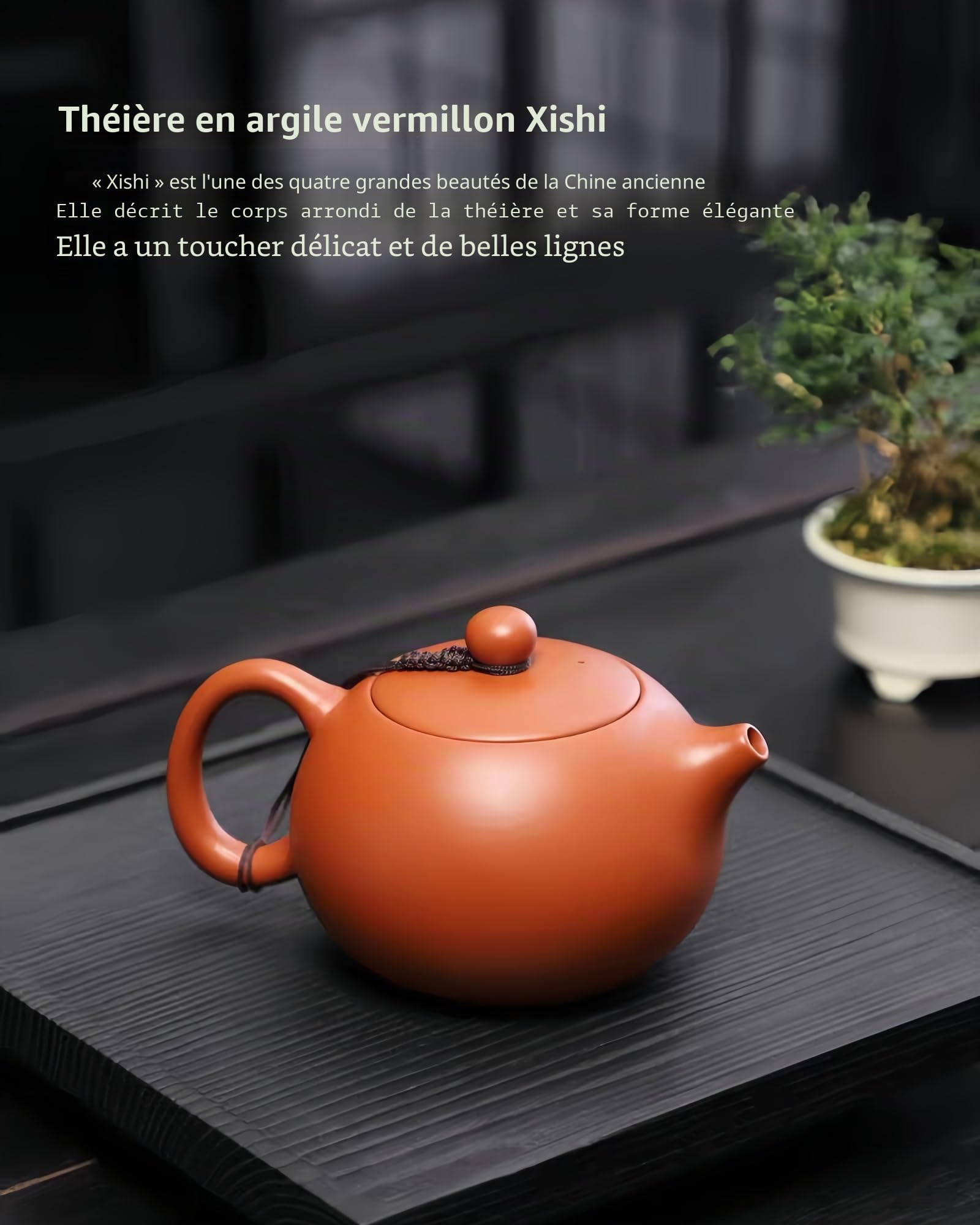 Théière Chinoise en Argile 400 ML, Yixing Zisha Xishi Théières, Theiere Terre Cuite, Faite à la Main Bouilloire en Argile Kung Fu avec Boîte et Torchon