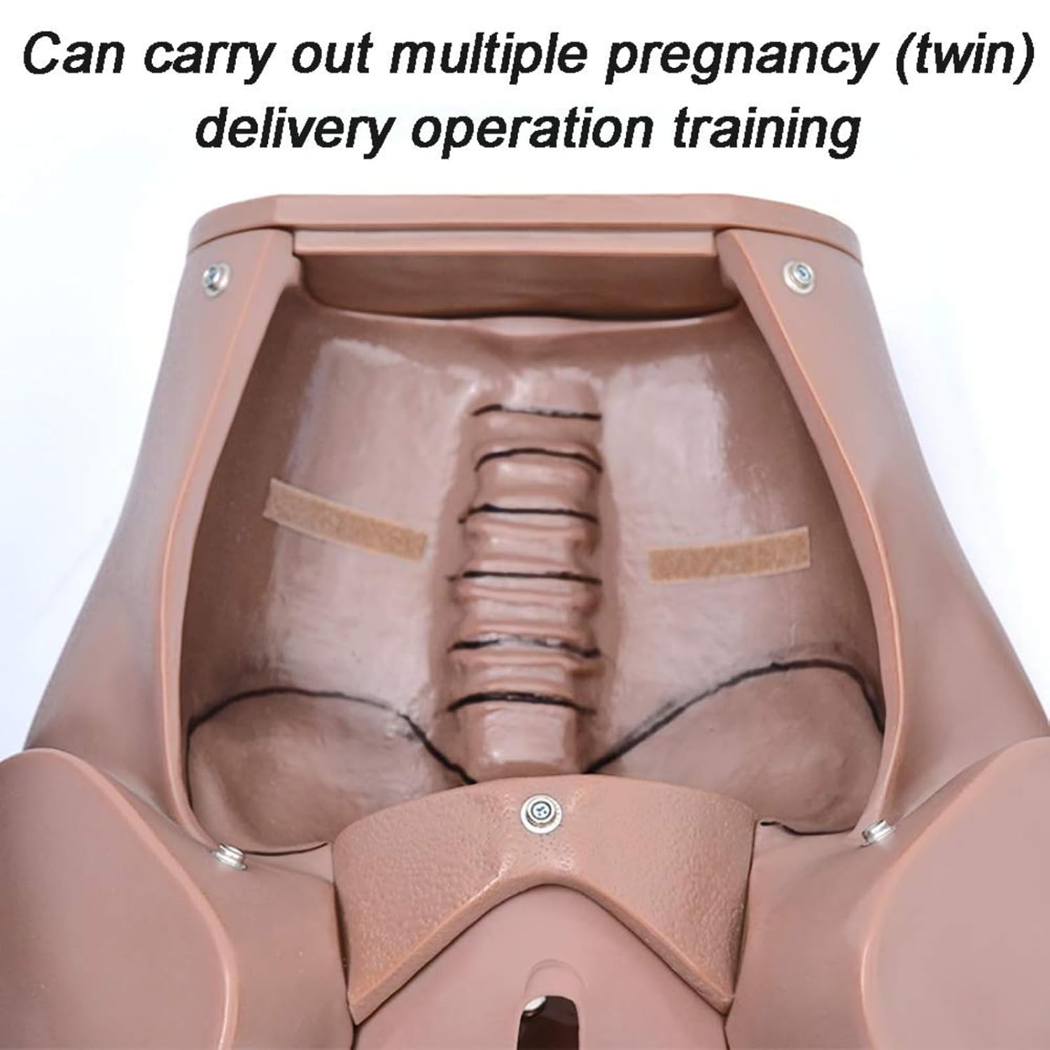 Anatomy Childbirth Simulator Manikin Childbirth Demonstration, Life Size Pelvic Anatomical Model Delivery Maternity Teaching Mold Includes Models of Baby Uterus Amniotic Sac Pelvis Placenta Umbilical