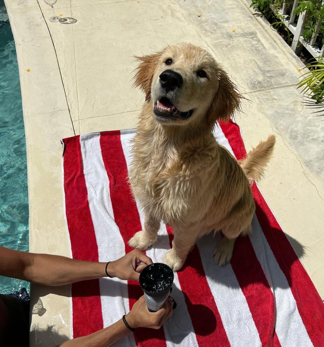 lesotc Dog Water Bottle, Portable Water Dispenser with Bowl, Leak Proof Pet Travel Squeeze Bottle, Puppy Essentials Dog Stuff Accessories for Outdoor Walking, Hiking, Camping - Image 7