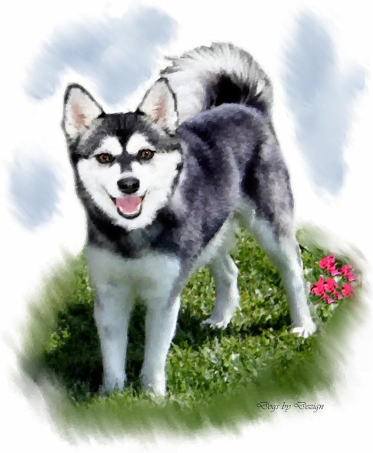 CafePress Alaskan Klee Kai Throw Blanket Super Soft Fleece Plush Throw Blanket, 60"x50"