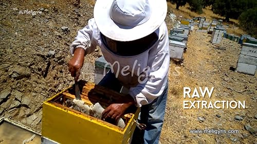 Miniatura 2 de Meligyris Miel de hierbas silvestres y tomillo blanco, 15.9 onzas