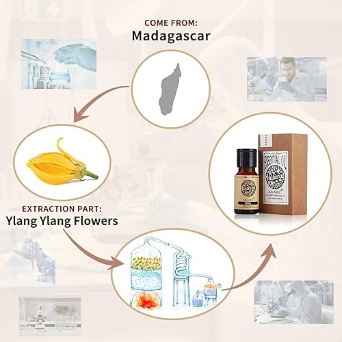 Miniatura 135 de AKARZ Aceite esencial de vainilla natural orgánico puro aceite de vainilla terapéutico prémium para el cuidado del cabello de la piel, cuerpo