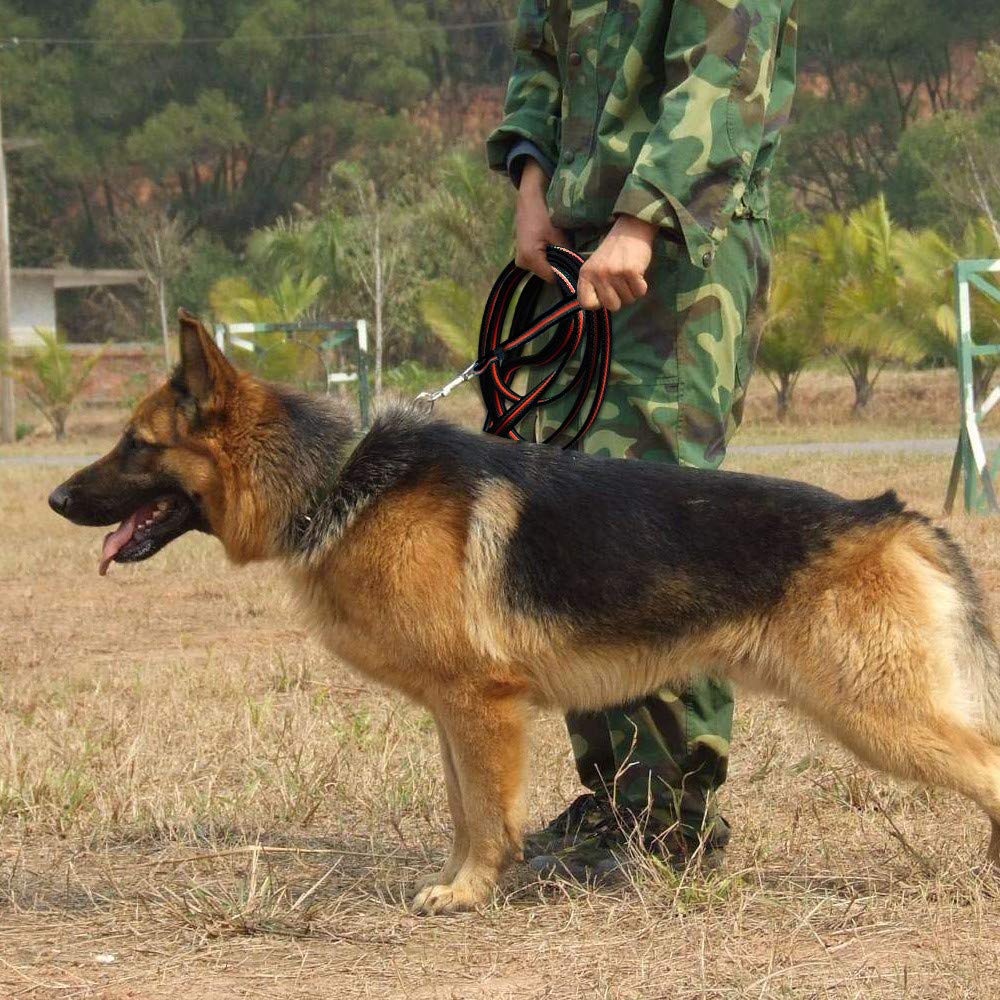 Haltbare Trainingsleine für Hunde, 3 m bis 15 m, lange Leine mit gepolstertem Griff, spezielles rutschfestes Design für Hunde jeder Größe, Orange, 5 m
