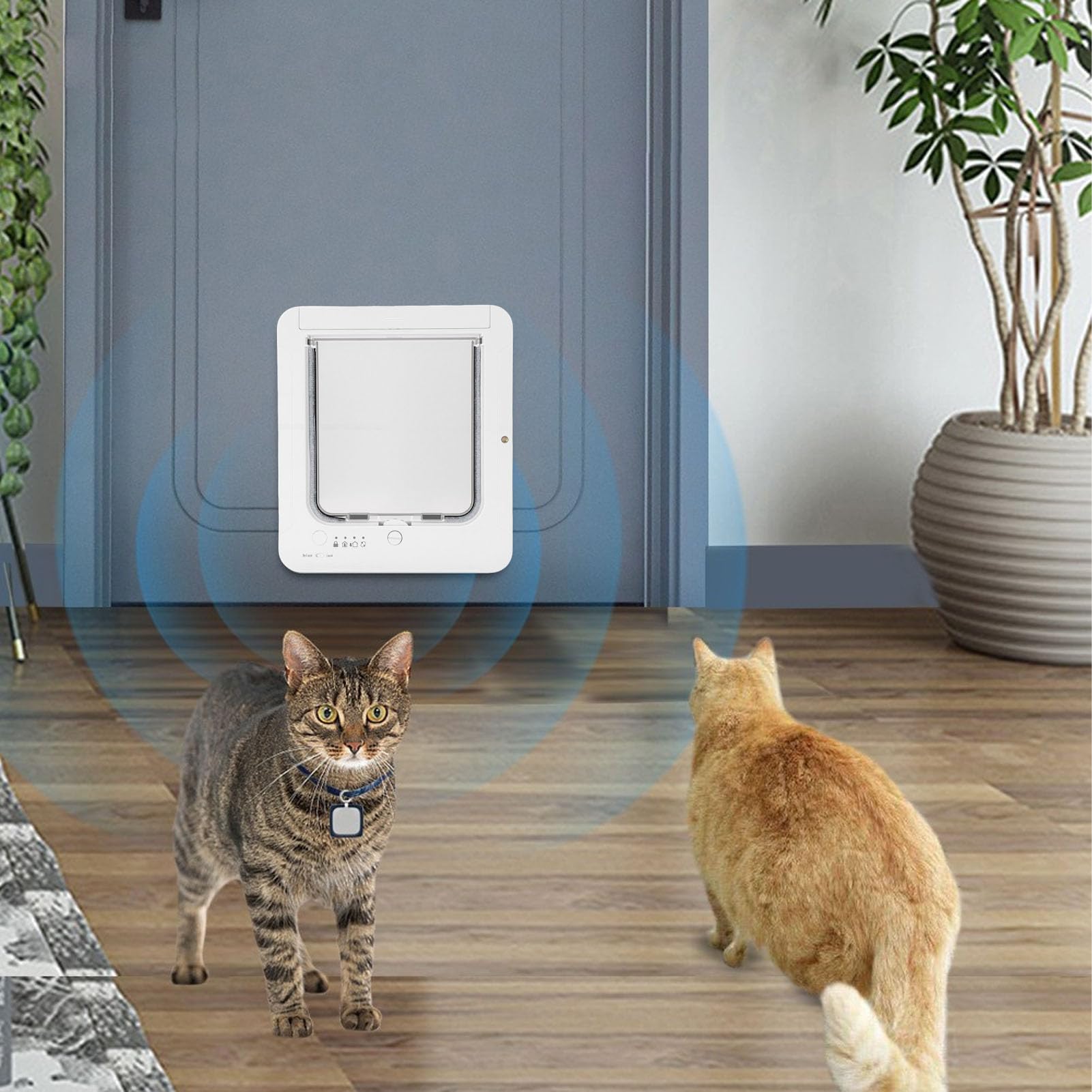 Fockety Puerta Inteligente para Gatos, Puerta automática para Mascotas con Sensor Collar y Control Remoto, gatera para Interior y Exterior, Material plástico, 26,7 x 29,4cm