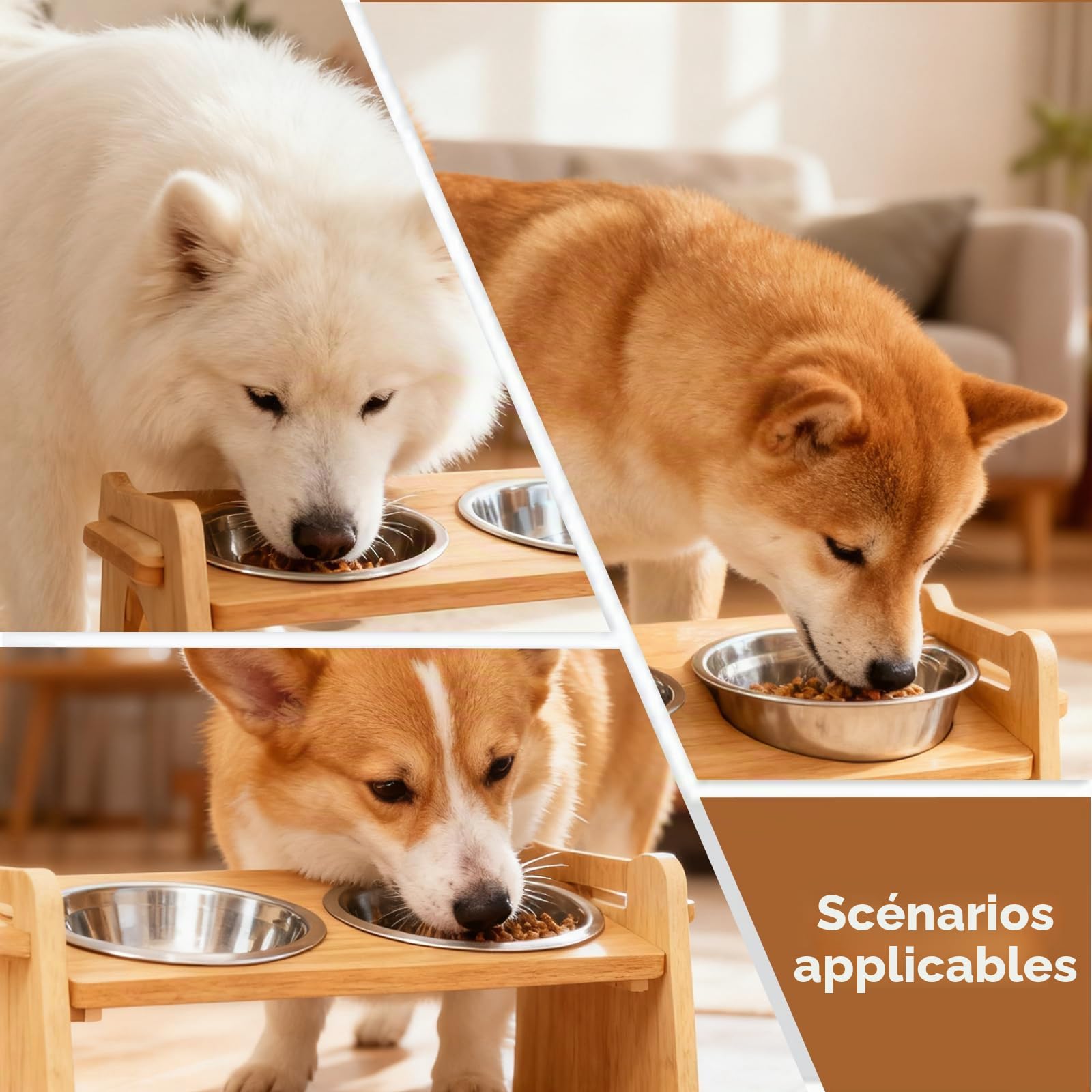 Gamelle pour chien surélevée avec support, hauteur réglable, hauteur réglable avec 2 bols en acier inoxydable, bol surélevé pour chiens et chats de petite taille