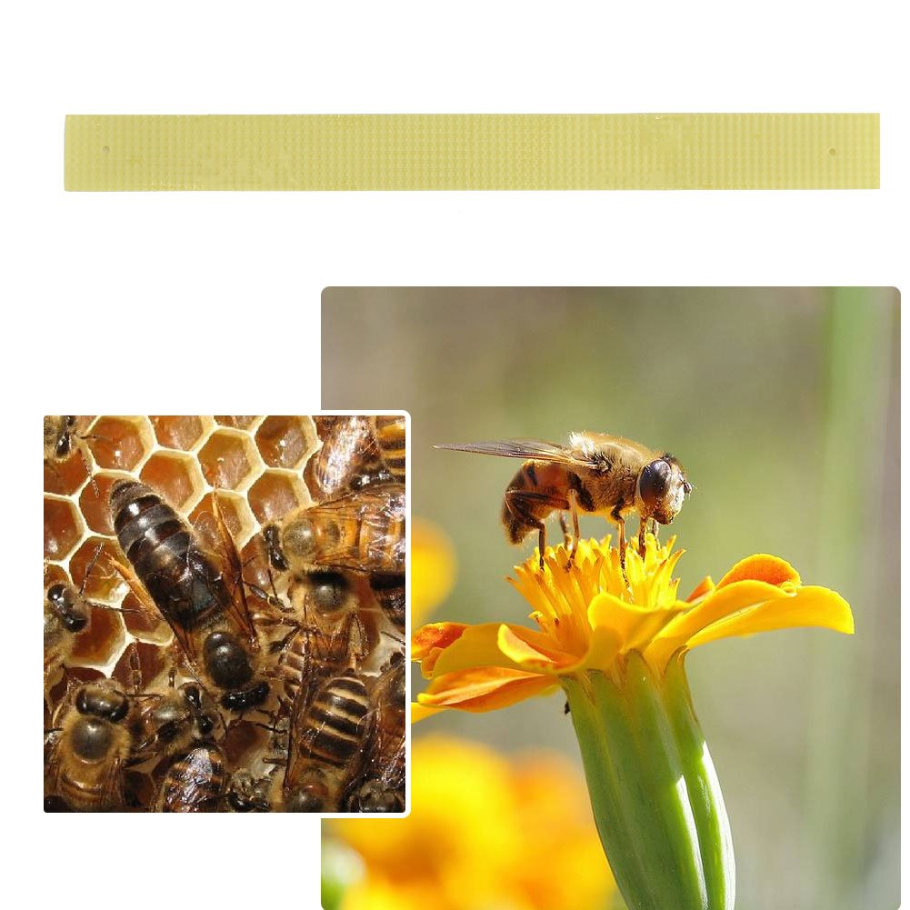 40 Unids Tiras Plásticas Tiras de Fluvalinato Ácaro Varroa dewin Medicina Apícola Medicina Asesina Apícola Tiras De Plástico Tira De Fluvalinato Abeja Ácaro Varroa Asesino Apicultura Medicina
