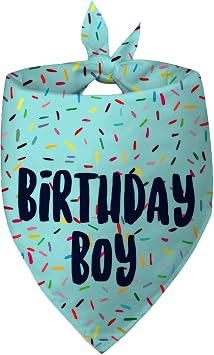 Birthday Boy Dog Bandanas 1 Pack, Blue Birthday Dog Scarfs, HBD Pet Scarves for Birthday Boy Party Bandanas for Small and Medium Dogs Blue, Small