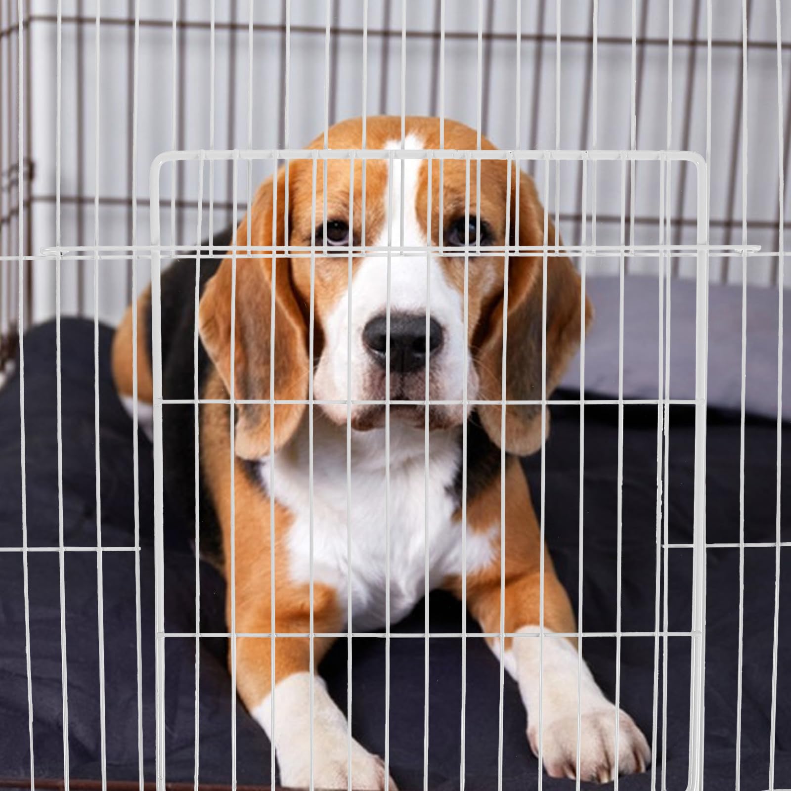 Lurrose Dichte Maschenpaneele Modular und Leicht Montierbar für Katzengehege aus Eisen mit Abnehmbarer Türverkleidung für Haustier Villa Paneele und Haustierkäfige