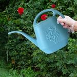 Elegant Watering Can for Outdoor and Indoor Use, Blue