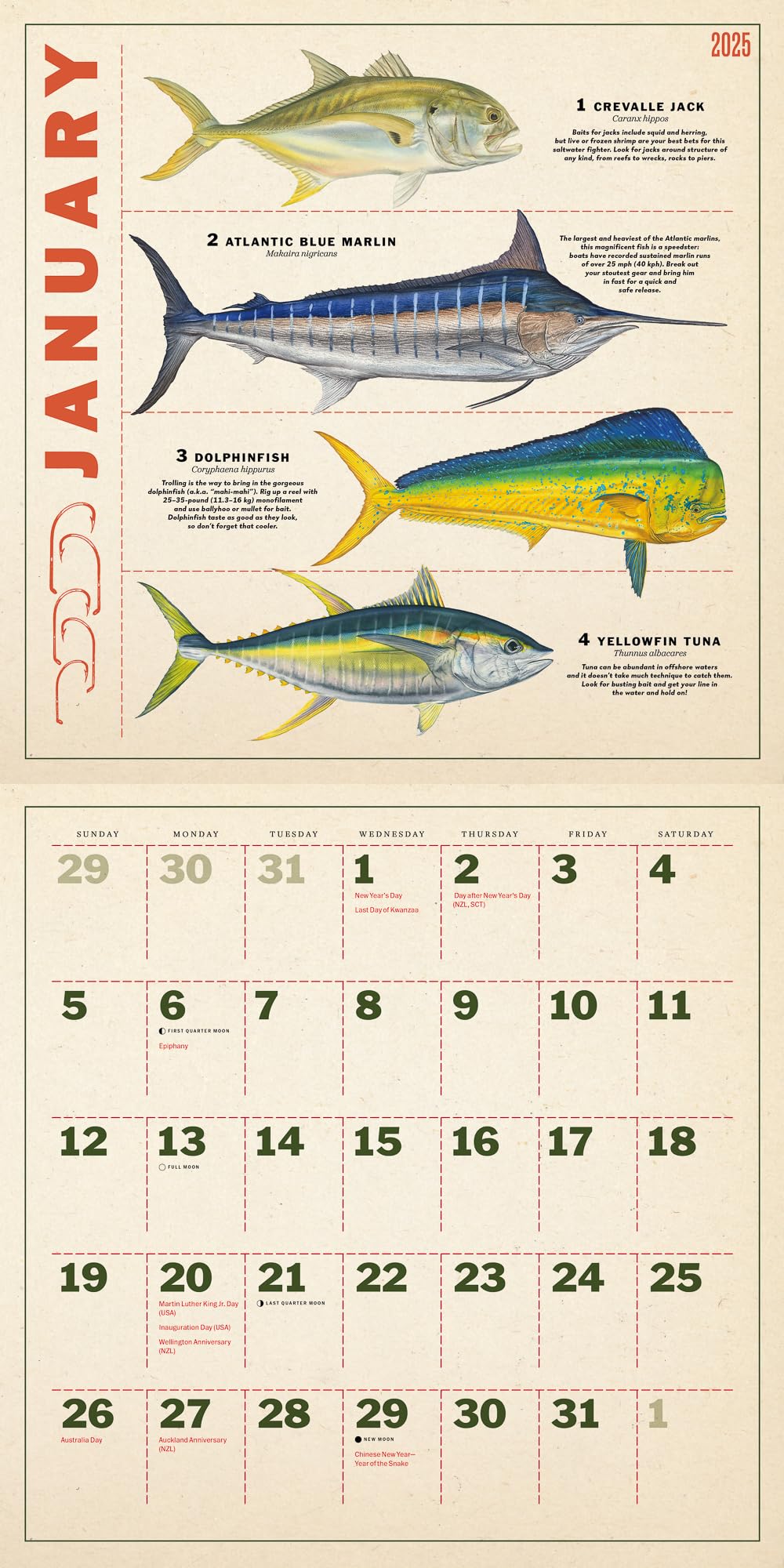 twelve-months-of-fishing-wall-calendar-2025-monthly-january-december-12-x-12-amazon-ca-office-products