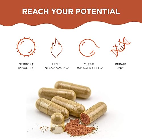 Miniatura 3 de Healthycell Telomere Length + AC-11 | Suplementos de reparación de ADN para antienvejecimiento y salud celular