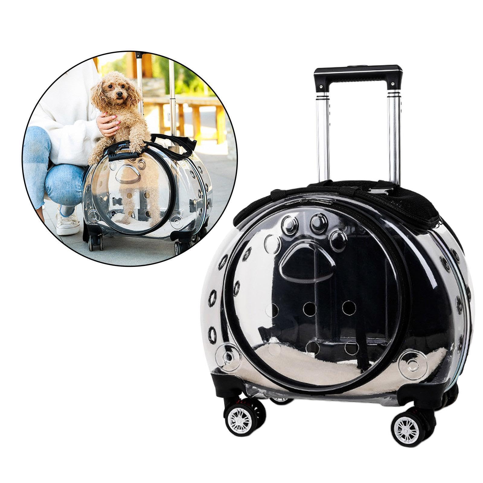 Mochila Ligera y expandible para Perros pequeños Que Ofrece experiencias al Aire Libre únicas y cómodas. Mochila de Senderismo Transparente con Ventana para Viajes,