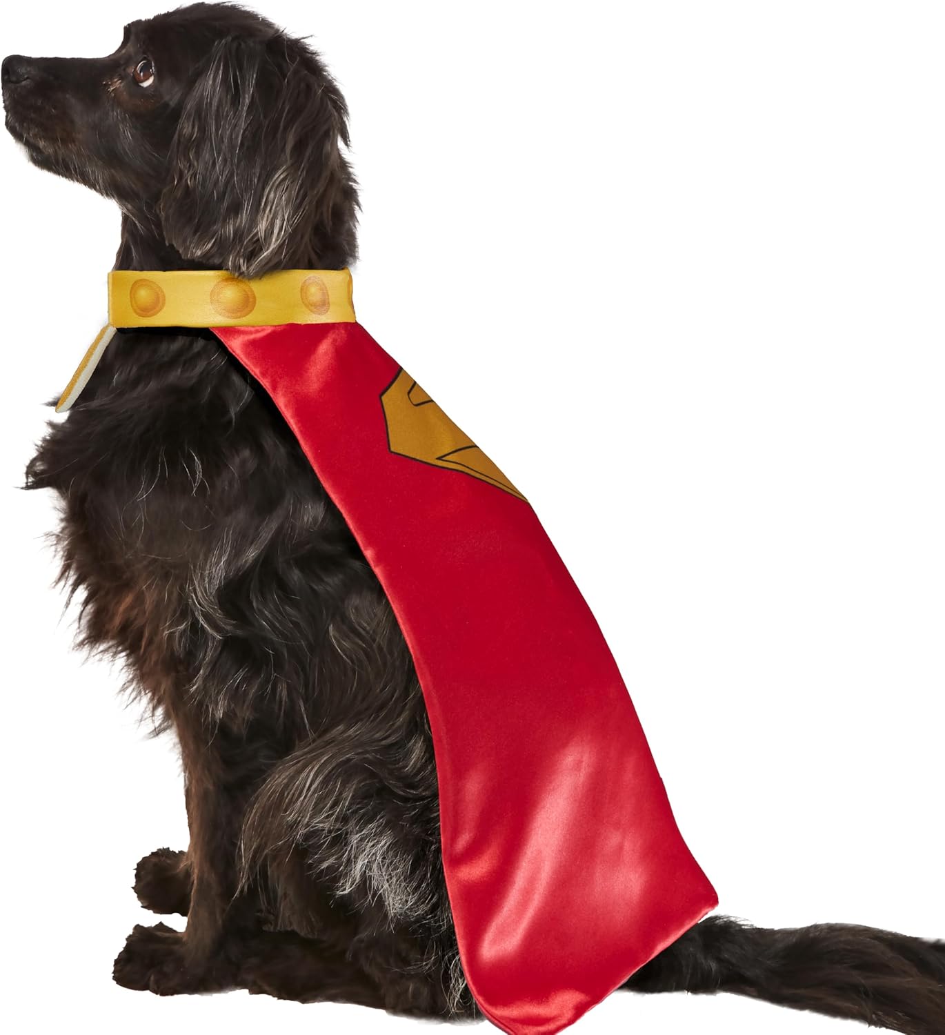DC Superman Movie (2025): Krypto Pet Cape & Collar by Rubies for Dogs or Cats, Extra Large