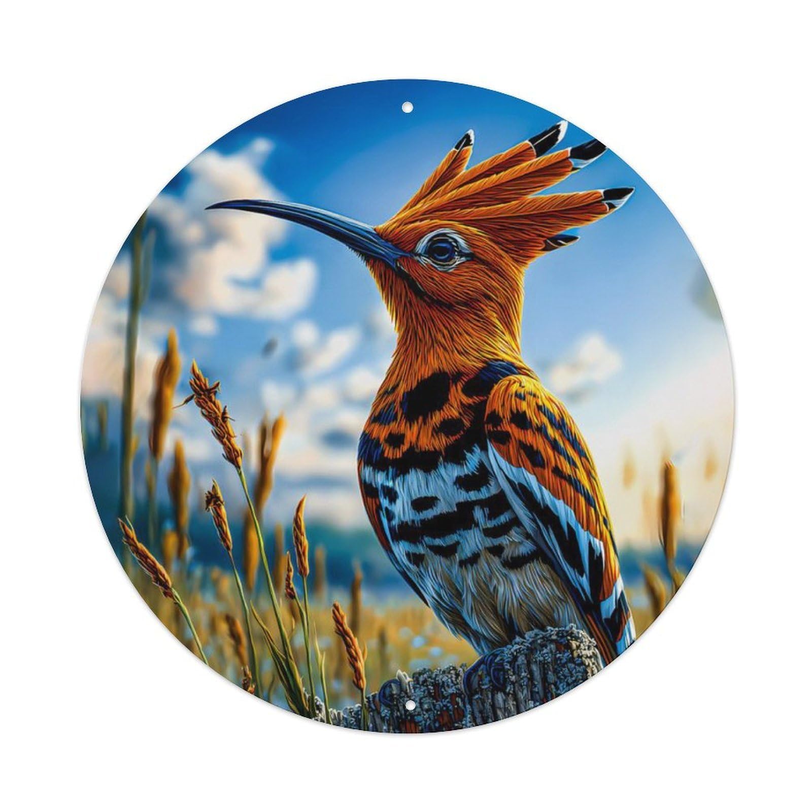 Animal Eurasian Hoopoe Wild Bird Country Meadow Vintage Metal Tin Sign Plaque Wall Decor for Cafe, Club Bar, Office, Garden Metal Poster 8x8Inch