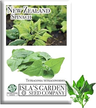 New Zealand Spinach Seeds for Planting, 100+ Heirloom Seeds Per Packet, Islas Garden Seeds, Non GMO Seeds, Botanical Name Tetragonia tetragonioides, Great Home Garden Gift