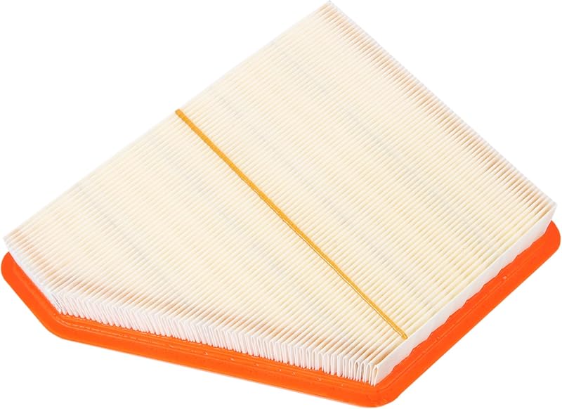ACDelco GM Original Equipment A3238C (23335811) Air Filter