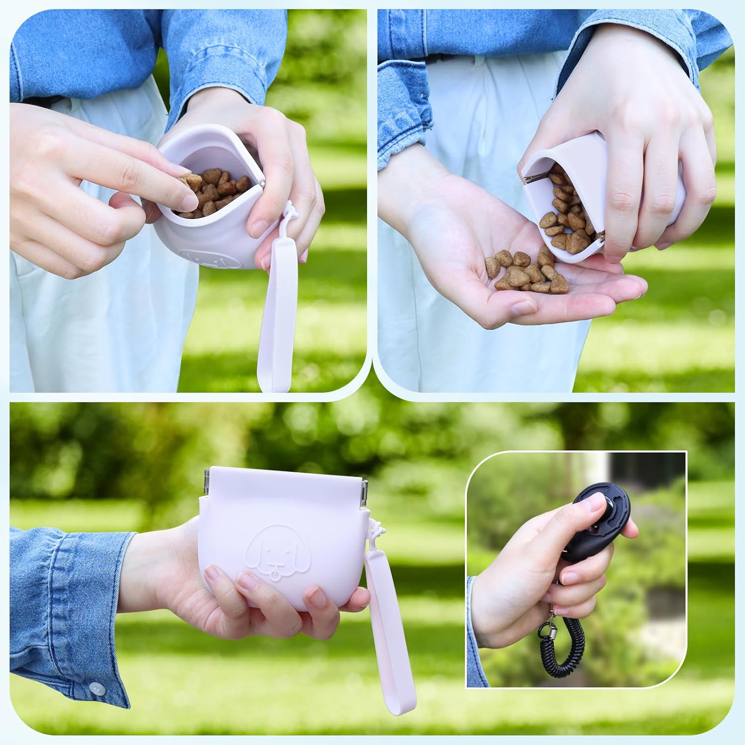 Accessoires clicker et bracelet pour dressage inclus