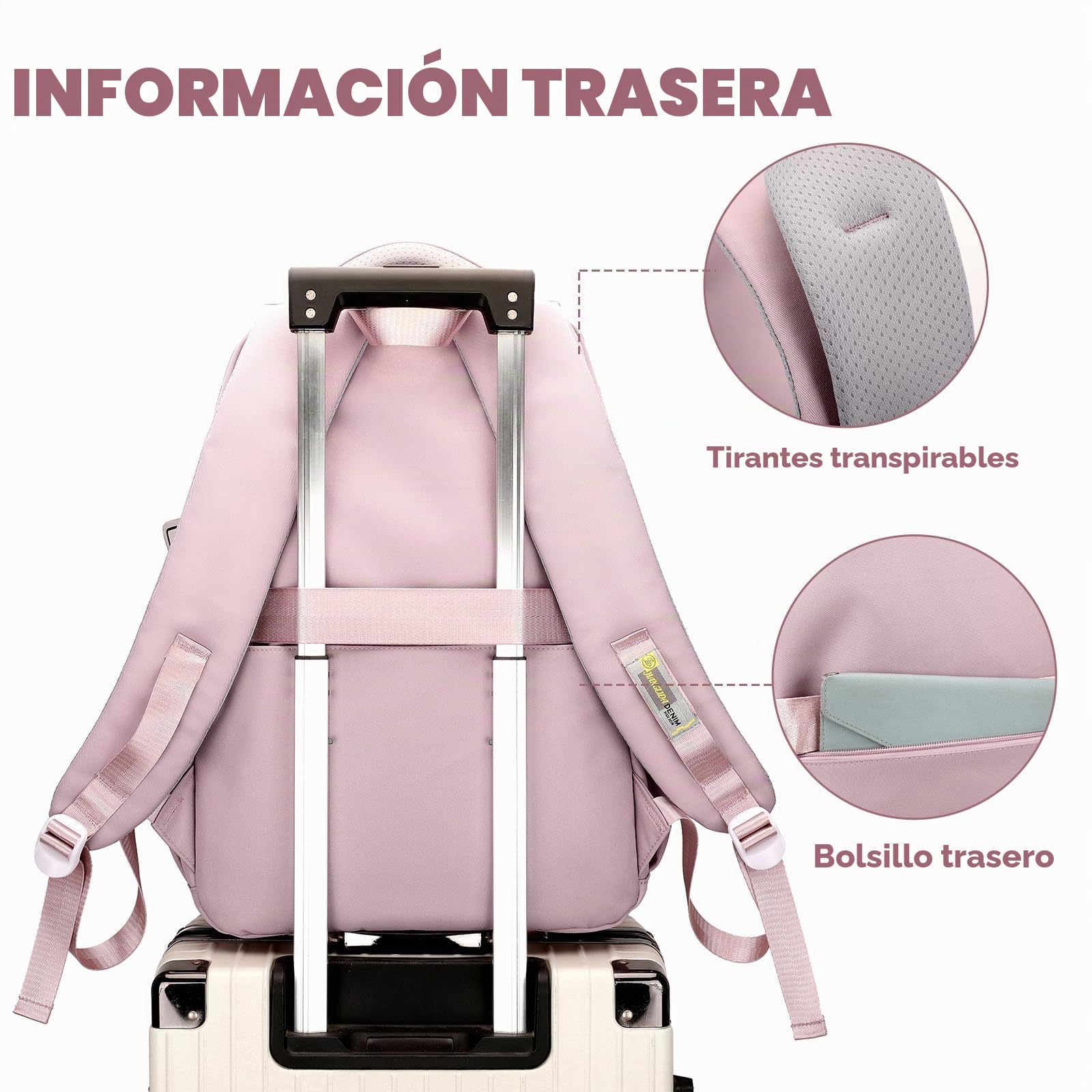JANSBEN Mochila Escolar Impermeable para Niñas y Niños, Mochila Escolar con Múltiples Compartimentos para Escuela y Viajes, Mochila Cómoda Ideal para Adolescentes Negra