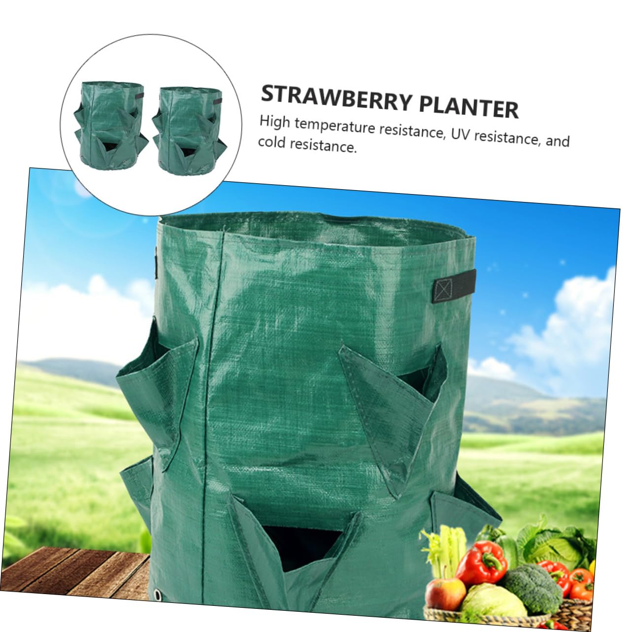 Toyvian 2 Series Bolsa De Crecimiento De Plantas De Fresas Bolsa De Transpirable Jardín Plantas Macetas 2 Piezas*2