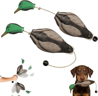 FUNHORUN Duck Training Dummy