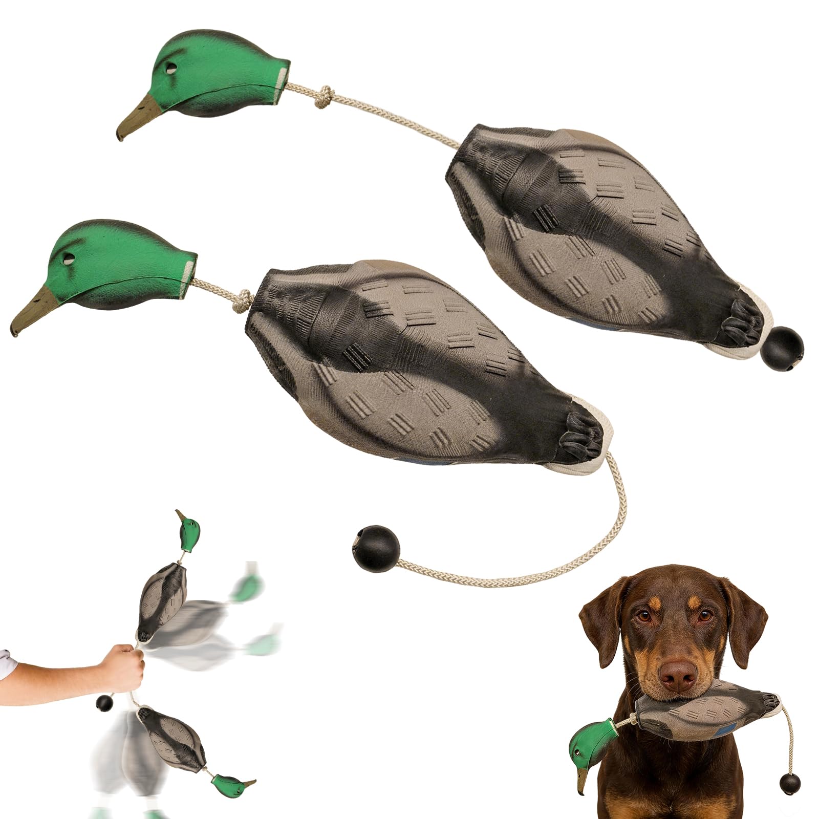FUNHORUN Lot de 2 jouets anti-chocs en forme de canard pour chiens, en mousse EVA, factice d'entraînement avec corde en nylon, jouet flottant réaliste pour récupération de terre et d'eau, idéal pour