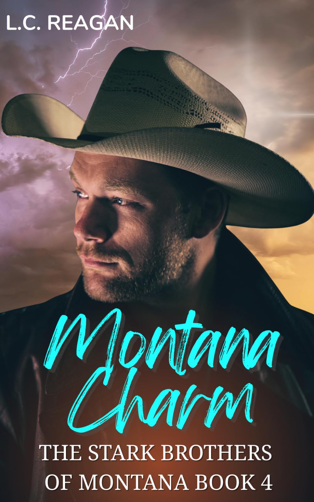 Montana Charm: A Brother’s Best Friend, Fake Dating Cowboy Romance (Nash's Story) (The Stark Brothers of Montana)