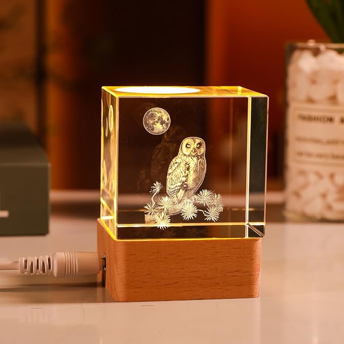 LONGWIN LONGWIN Owl Gifts for Owl Lovers Women, 3D Led Night Light 50mm Cube, Glass Laser Engraved Animal Figurines Home Decor Birthday, Valentines Day, Mothers Day Gift photo 2